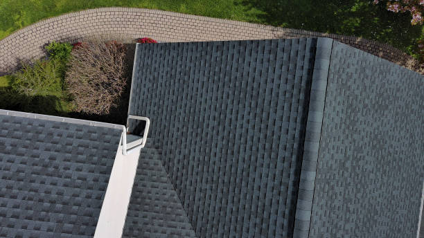 Best Roof Coating and Sealing  in Janesville, MN