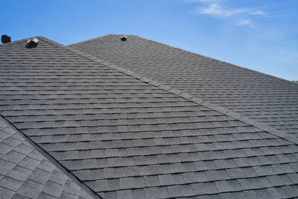 Best Roof Leak Repair  in Janesville, MN