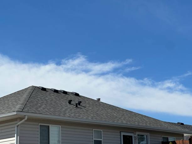 Best Solar Panel Roofing Installation  in Janesville, MN