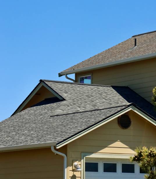 Best 4 Ply Roofing  in Janesville, MN